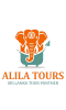 Alila tours logo png
